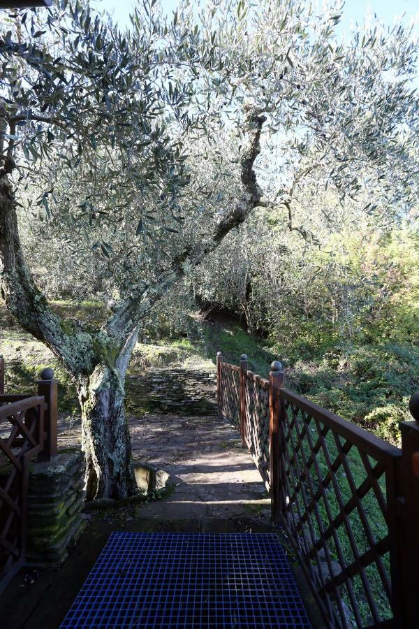 בית הארחה Buti 	Molino Del Rotone מראה חיצוני תמונה